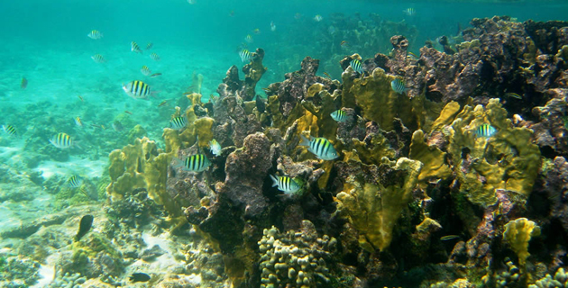 Fotos archivo EL HERALDO