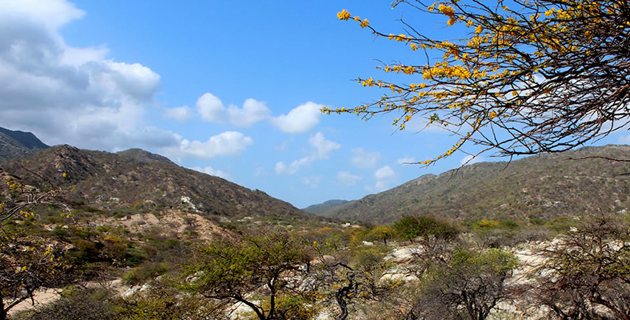 Fotos archivo EL HERALDO