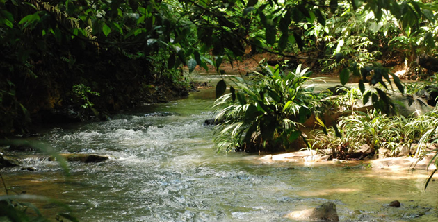 Fotos archivo EL HERALDO