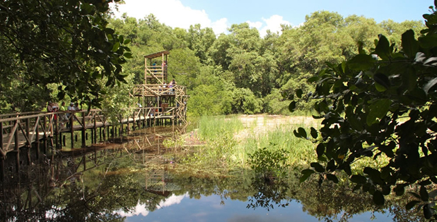 Fotos archivo EL HERALDO