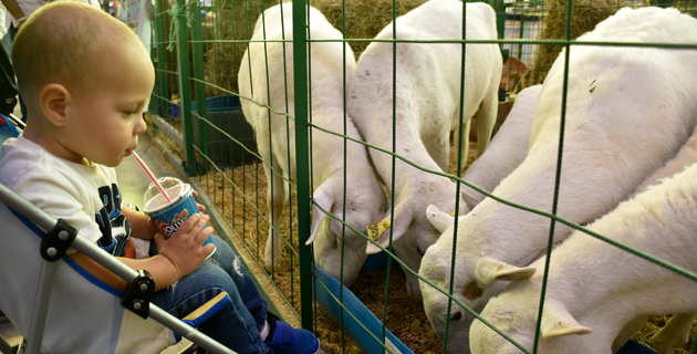 Fotos archivo EL HERALDO