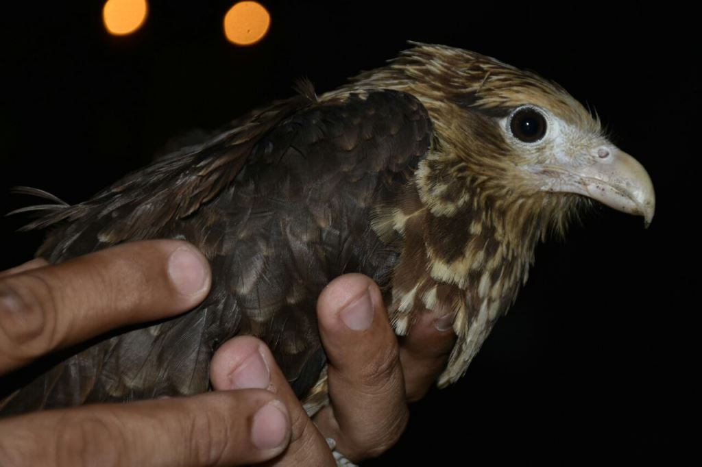 Fotos archivo EL HERALDO