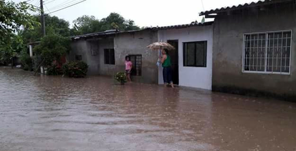 Fotos archivo EL HERALDO