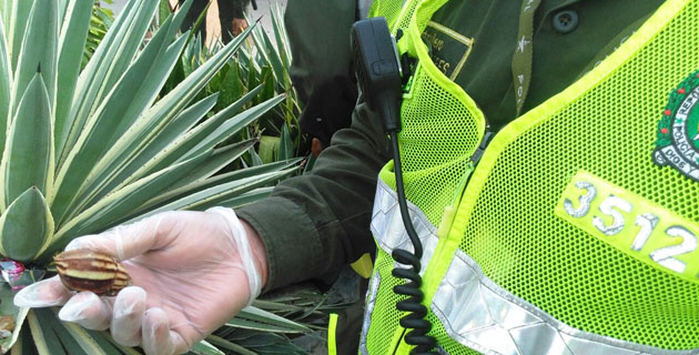 Fotos archivo EL HERALDO