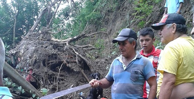 Fotos archivo EL HERALDO