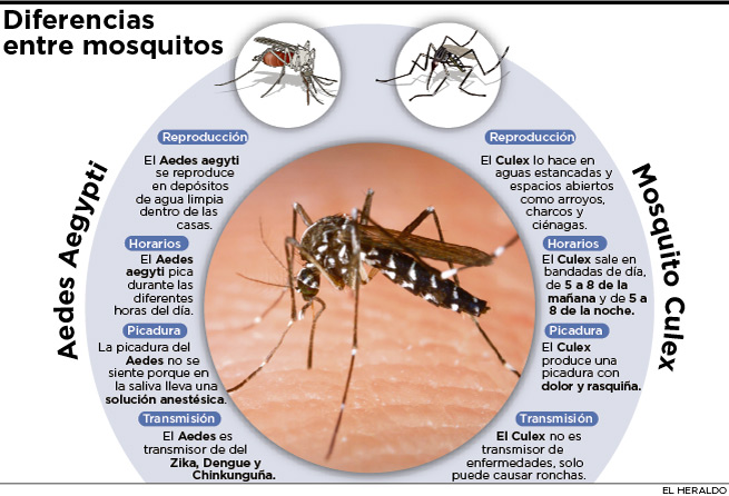 Fotos archivo EL HERALDO