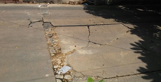 Fotos archivo EL HERALDO